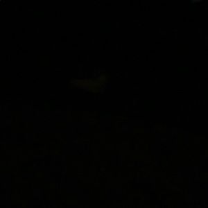 Meet your Posher, Dylan